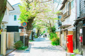 鎌倉の風景