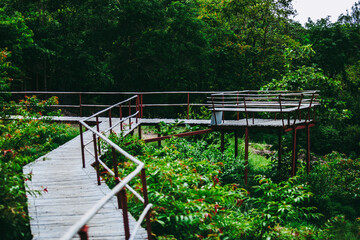 Wooden bamboo bridge with balcony in the forest mountain hill in dark green forest color tone.