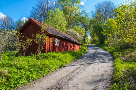 Red barn at gravel road in a lush forest at spring