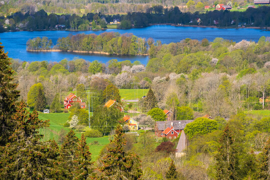 Idyllic country village view at a lake in the budding spring