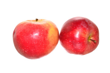 apple isolated on white background