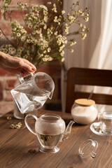 brewing flower tea in a glass teapot lifestyle
