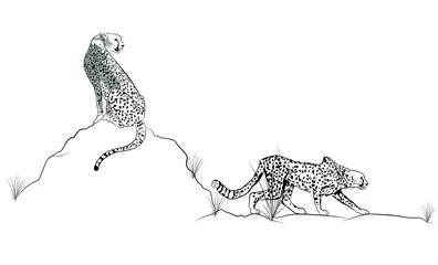 Tuinposter Hunting vector cheetah © Amrit