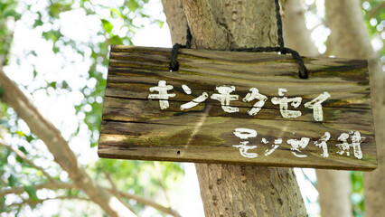 キンモクセイの木の札
