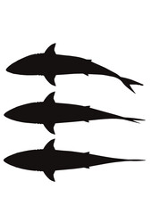 サメ 鮫 Shark シルエット