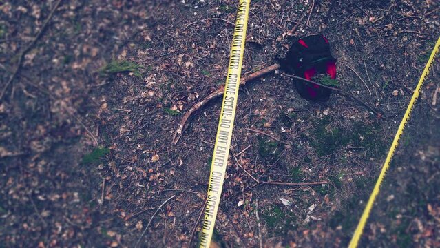 Crime scene in the woods filmed by a drone. Missing person's bag. Dead body found in the woods and evidences