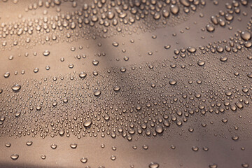 Rain on car hood
