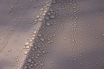 Rain on car hood