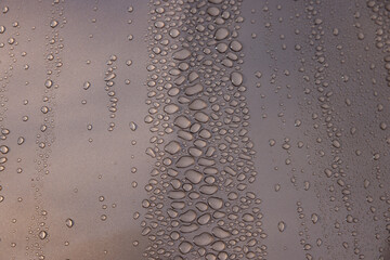 Rain on car hood