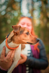 Frightened Jack Russell Terrier in the arms of a girl in the forest.