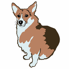 dog,human friend,four-legged friend,nose,paws,tail,dogs,corgi,I love corgi inscription,heart of love for a dog corgi,red-black corgi,short paws,loyalty,devotion,courage,protection,self-sacrifice,a fai