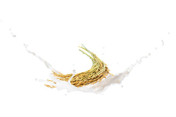 Rice milk splash isolated on white background.