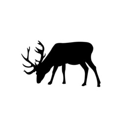 Silhouette of standing horned animal icon Isolated on white background Suitable for web apps, mobile apps and print media