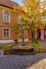 Budapest fountain