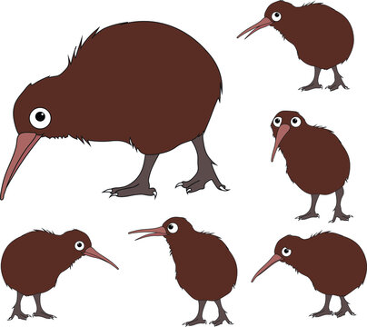 Kiwi Bird Vector Images – Browse 3,905 Stock Photos, Vectors, and Video |  Adobe Stock