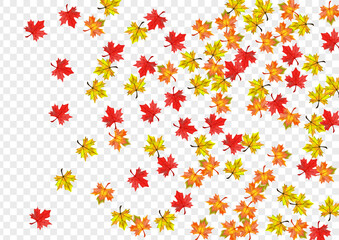 Autumnal Foliage Background Transparent Vector. Leaves Realistic Frame. Golden Seasonal Floral. Bright Plant Texture.