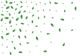 Light Green Greenery Background White Vector. Plant Symbol Texture. Decorative Frame. Greenish Flavor Illustration. Leaf Shape.