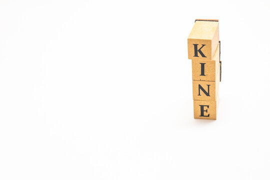 英単語　ブロック　KINE