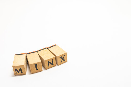 英単語　ブロック　MINX