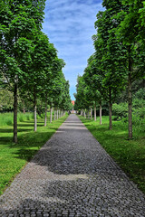 path in the park