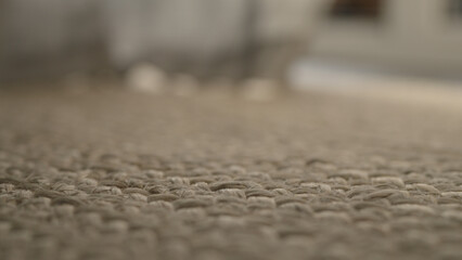 shot of jute rug closeup
