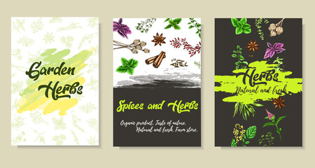 A colorful set of spices, herbs and spices. Bright, colorful hand drawing. Vector for menu, restaurant,
food and kitchen design.