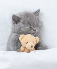 Cozy tiny kitten sleeps with favorite toy bear under warm white blanket on a bed at home. Top down...
