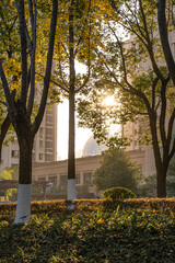 Naklejka premium Sunset in the Nantang park