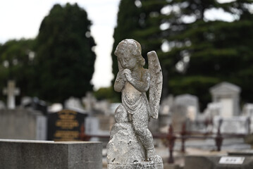 Worn and weathered white sculpture of a child angel, or cherub, with hands clasped in prayer, with a cemetery and many graves in the background 
