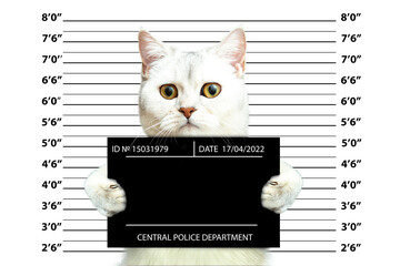 British cat holding a police department banner.