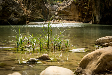 waterfall in the forest, Sicilia, Segesta