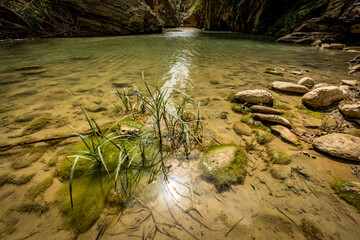 waterfall in the forest, Sicilia, Segesta