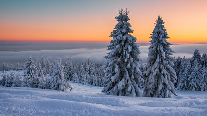 sunrise in the forest, sunrise, mountain, winter, snow, landskape, krajobraz, forest, snow, zachódsłońca