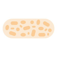 tempeh flat icon