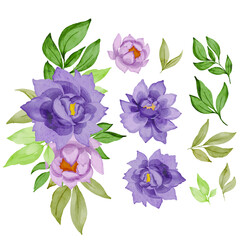 set of purple rose bouquet isolated clipart