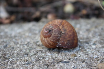 Natur