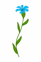 Fototapeta na wymiar Blue cornflower, doodle vector illustration. Twig of wild cornflower. Clipart. Flowers are drawn by hand. Design for postcards, compositions and stickers.