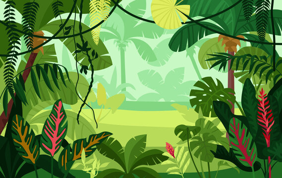 Fototapeta Colored Jungle Composition