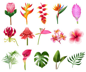 Exotic Flowers Realistic Set