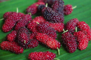 Red berries on a banana leaf