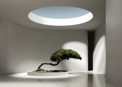 3d render of a white empty large space with a bonsai podium on a concrete floor and a round central hole in the ceiling