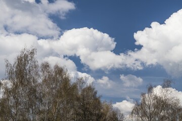 The clouds, contrast and beautiful scenery, beautiful weather and life. Foreground silhouettes of trees.