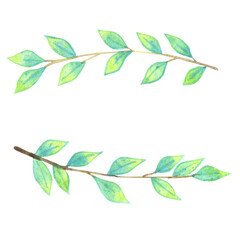 green leaves wreath watercolor for decoration on nature garden and healthy.