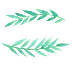 Palm leaves or coconut leaves wreath watercolor for decoration on tropical garden and summer holiday.