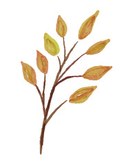 Watercolor Illustration of Autumn Branch Leaves