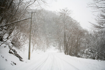 雪の日　道　田舎　冬