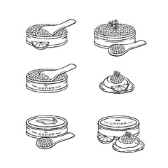 Caviar vector illustration set