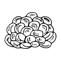 sketch or hand drawn ripe corn on the cob with text