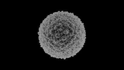 Zika virus scanning electron microscope SEM 3d render