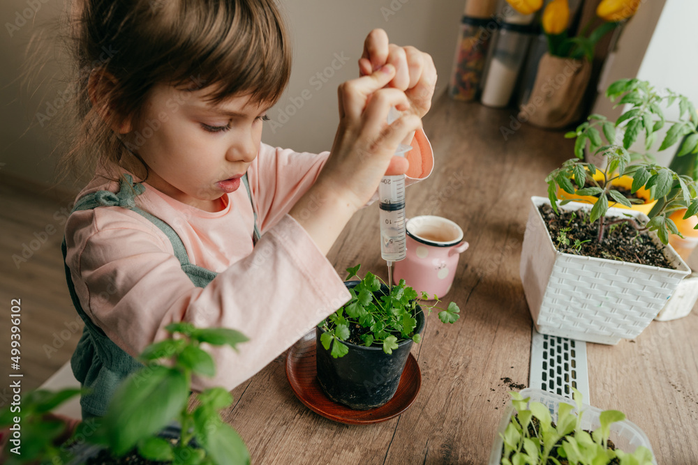 Wall mural Home gardening with kids on the kitchen windowsill